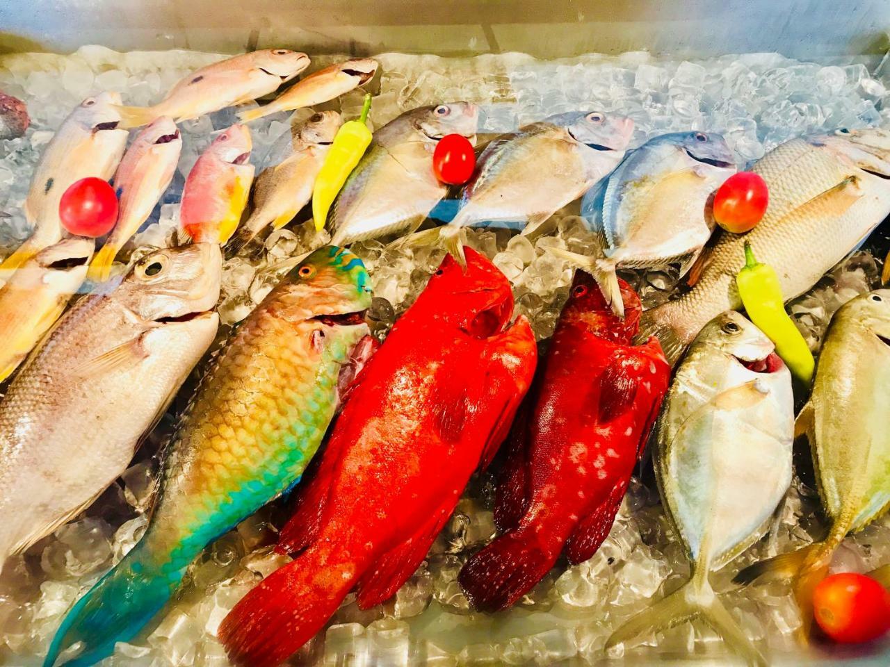 Hotel Sea Line 高尔 外观 照片